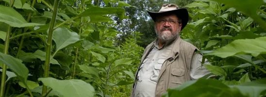 Sepp Holzer, il contadino ribelle laureato all’università della natura