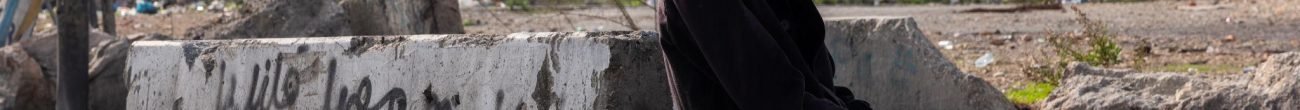 Palestina: sicurezza sotto occupazione